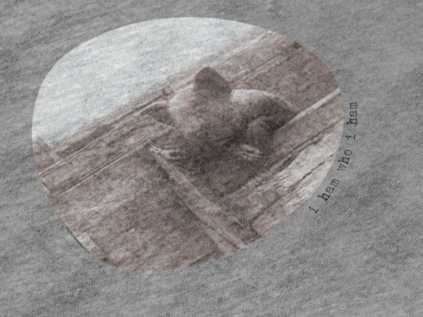 Mens Pig Photo Print T-Shirt | I Ham Who I Ham